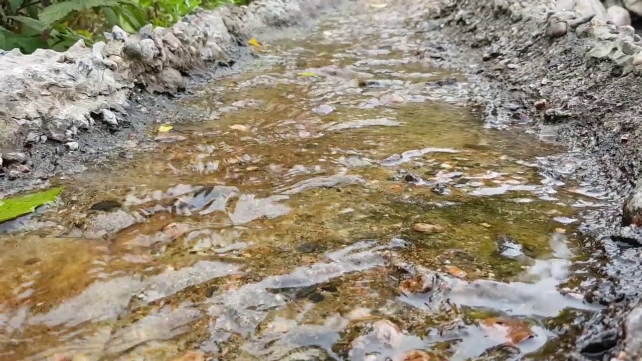 瀑布小溪小溪小溪流淌的流水。视频素材