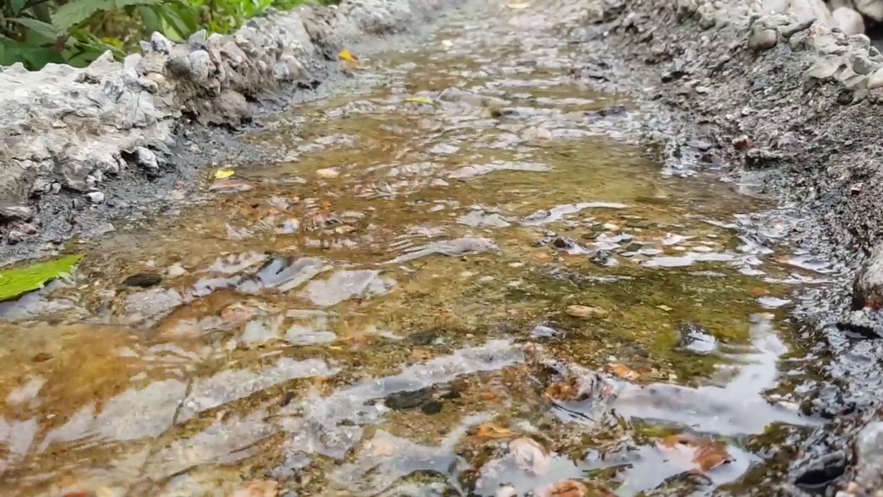 瀑布小溪小溪小溪流淌的流水。视频素材