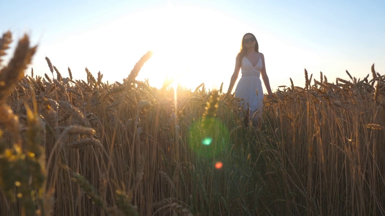 难以辨认的女人站在金色的麦田和举起手在夕阳的背景。年轻的女孩穿着白色的衣服享受自由或风景优美的夏天。与自然和谐。慢动作视频素材