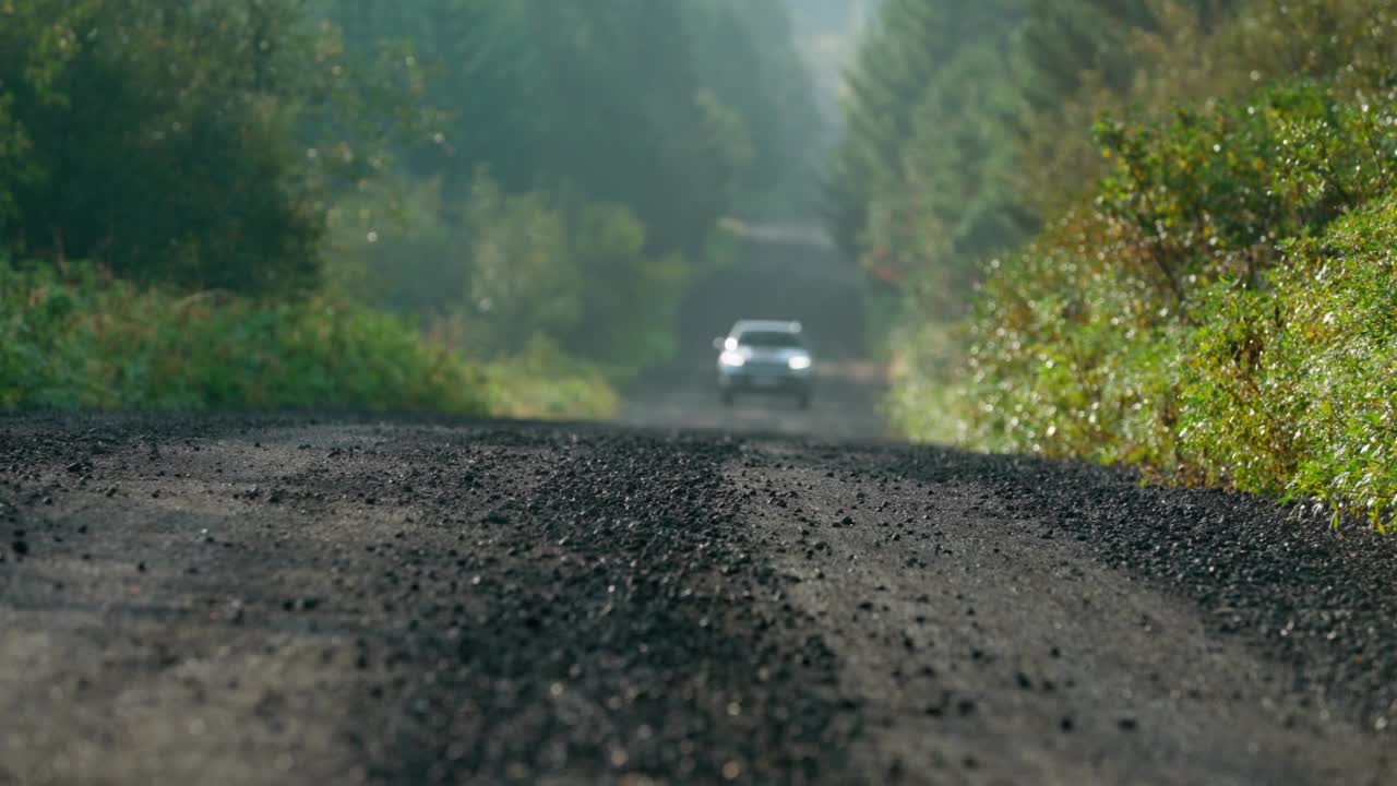 在镜头前的森林中，汽车在绿树之间的土路上行驶视频素材