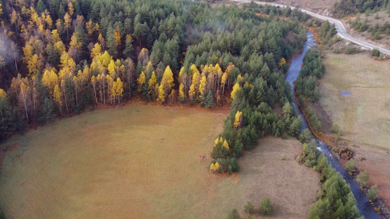 秋天的风景，雾蒙蒙的兹拉蒂博尔山和Crni Rzav河。Zlatibor,塞尔维亚视频素材