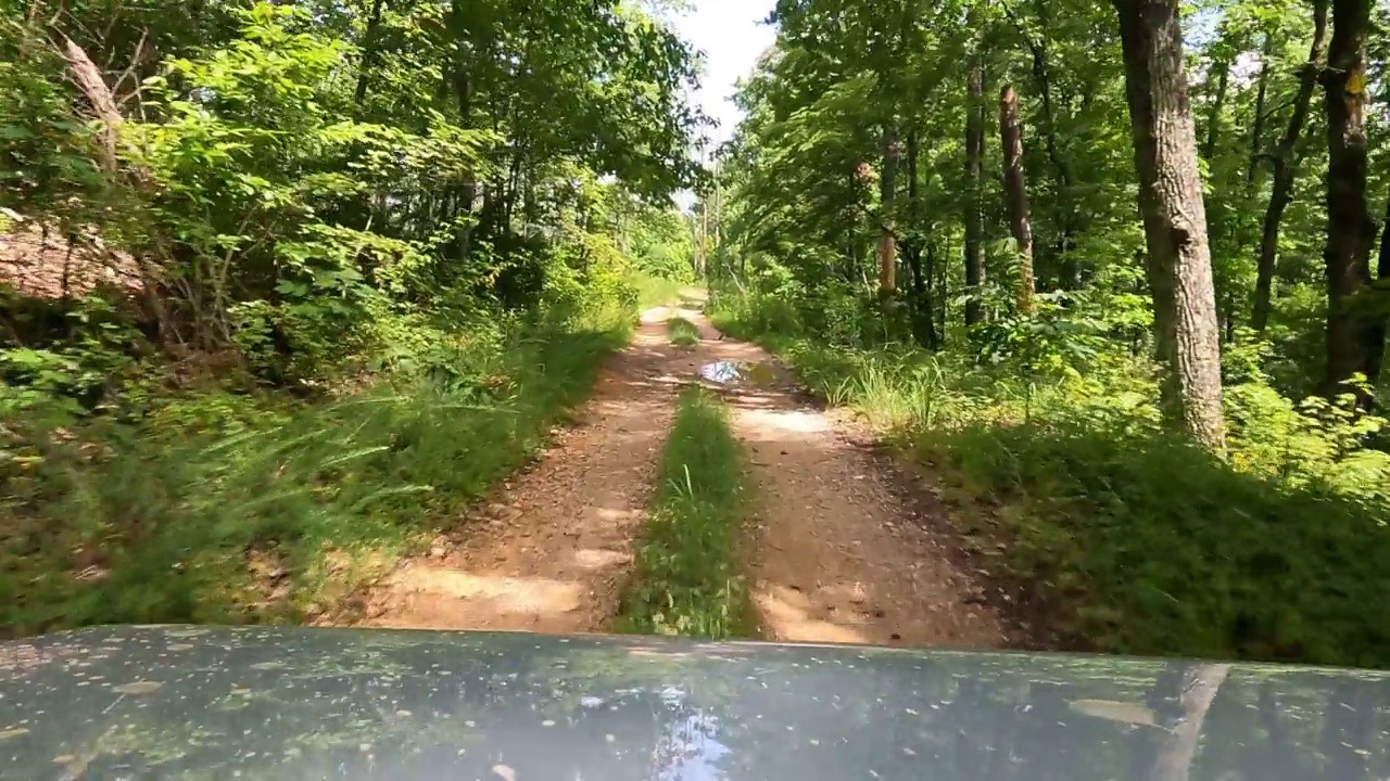 在有水坑的森林道路上着陆视频素材