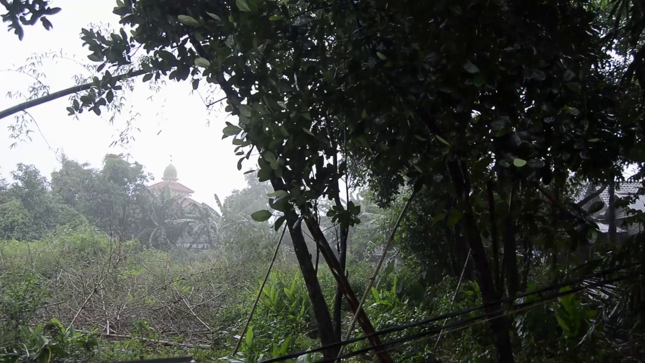 白天下雨时的花园状况视频素材