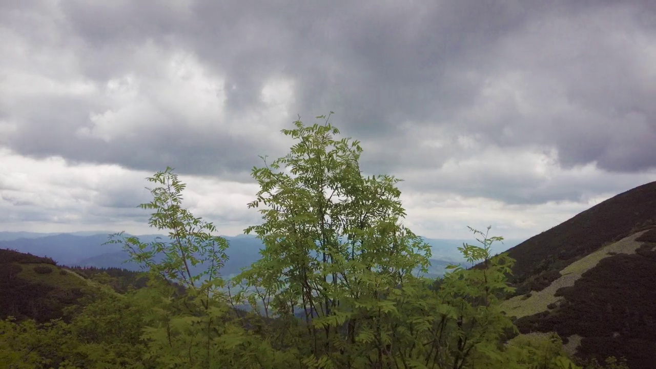 斯洛伐克北部的高塔特拉斯山麓的自然景观，在初夏，有宽阔的山谷和绿色的草地。视频素材