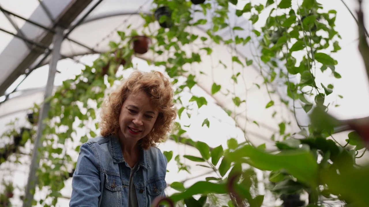 一个成熟的女人在花园中心浇灌植物视频素材