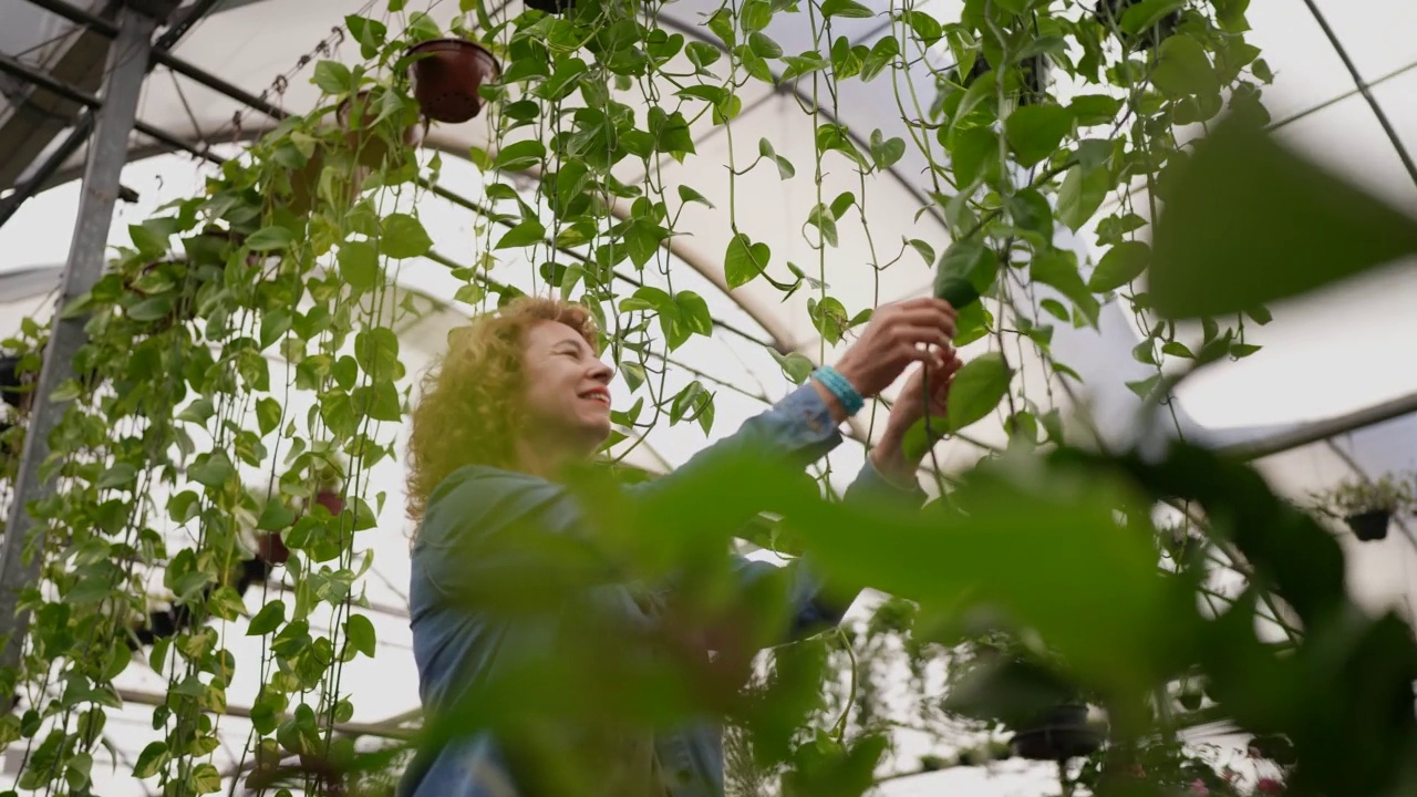 一个成熟的女人在花园中心浇灌植物视频素材