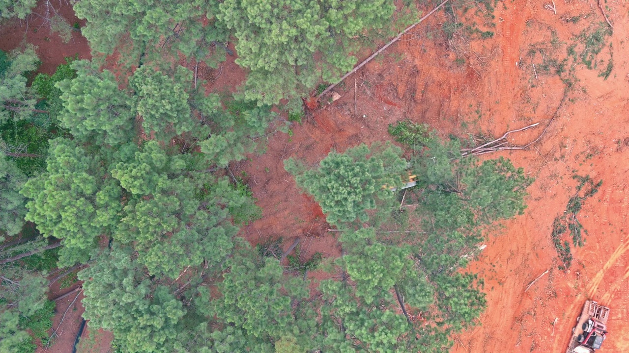 用于毁林和准备建设用地的毁林推土机视频素材