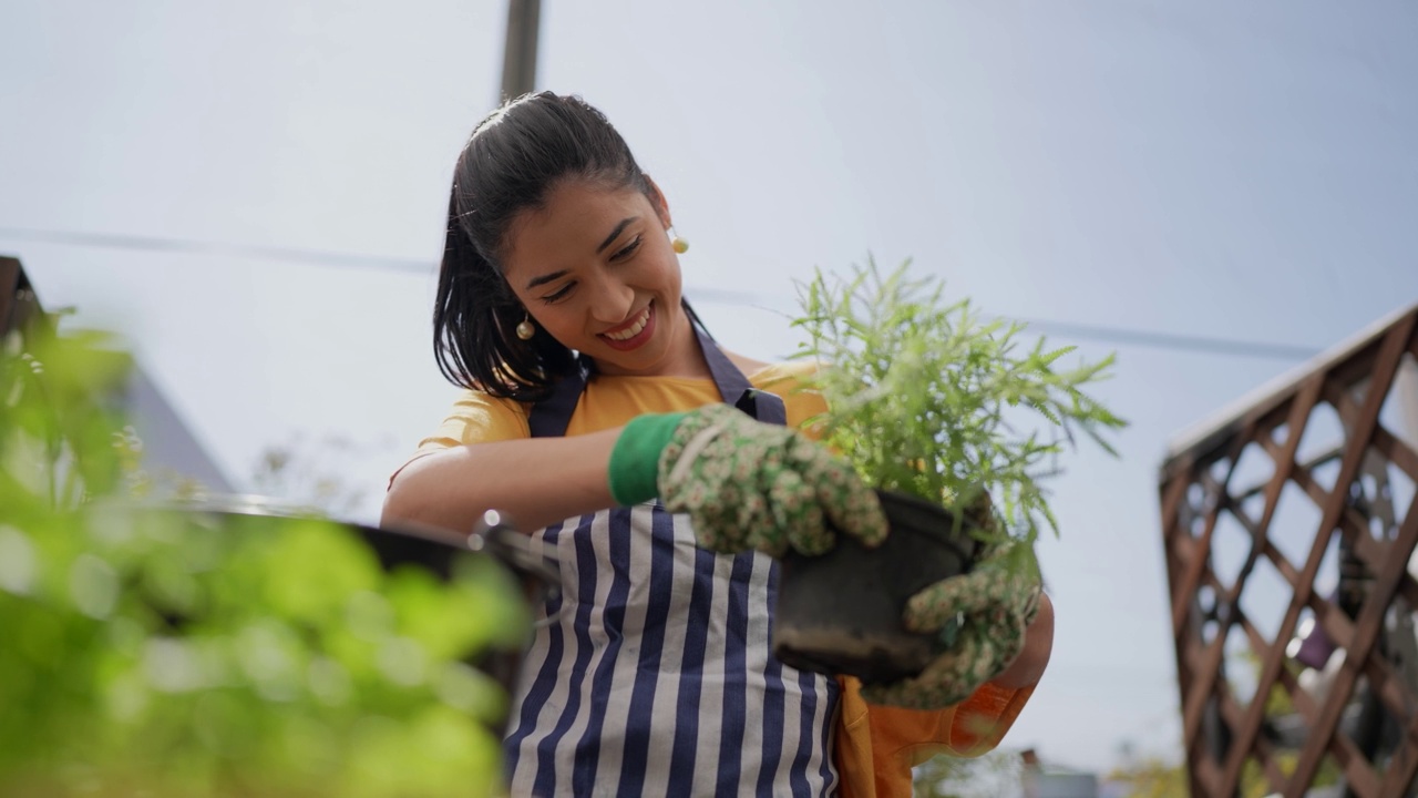 年轻的花匠在园艺中心种植视频素材