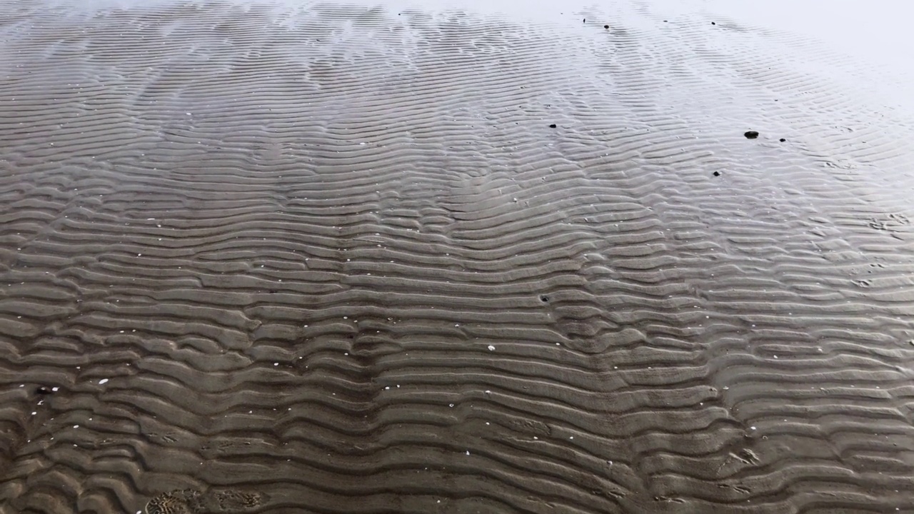 空的海滩。白色的沙滩和海浪视频素材