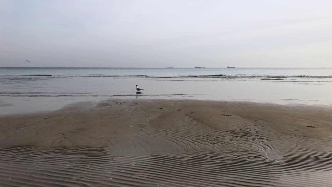 空的海滩。白色的沙滩和海浪视频素材