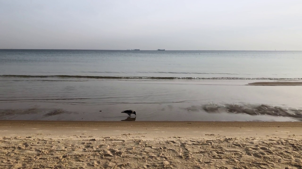 空的海滩。白色的沙滩和海浪视频素材