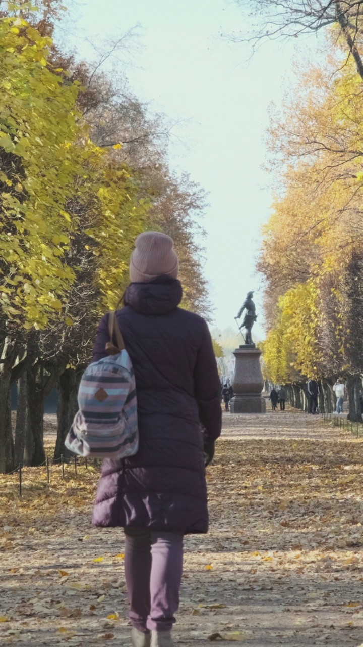 秋日公园里散步的女人的背影视频素材