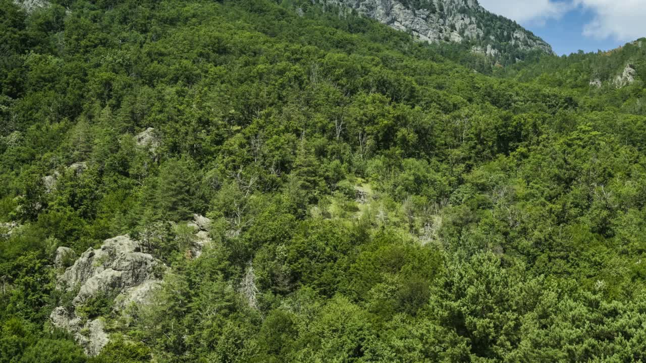 森林山腰和岩石山峰-时间流逝视频素材