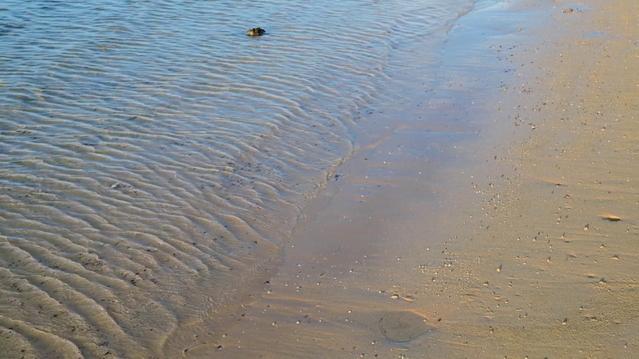 波浪:在海滨的沙滩上移动的轻柔的波浪视频素材