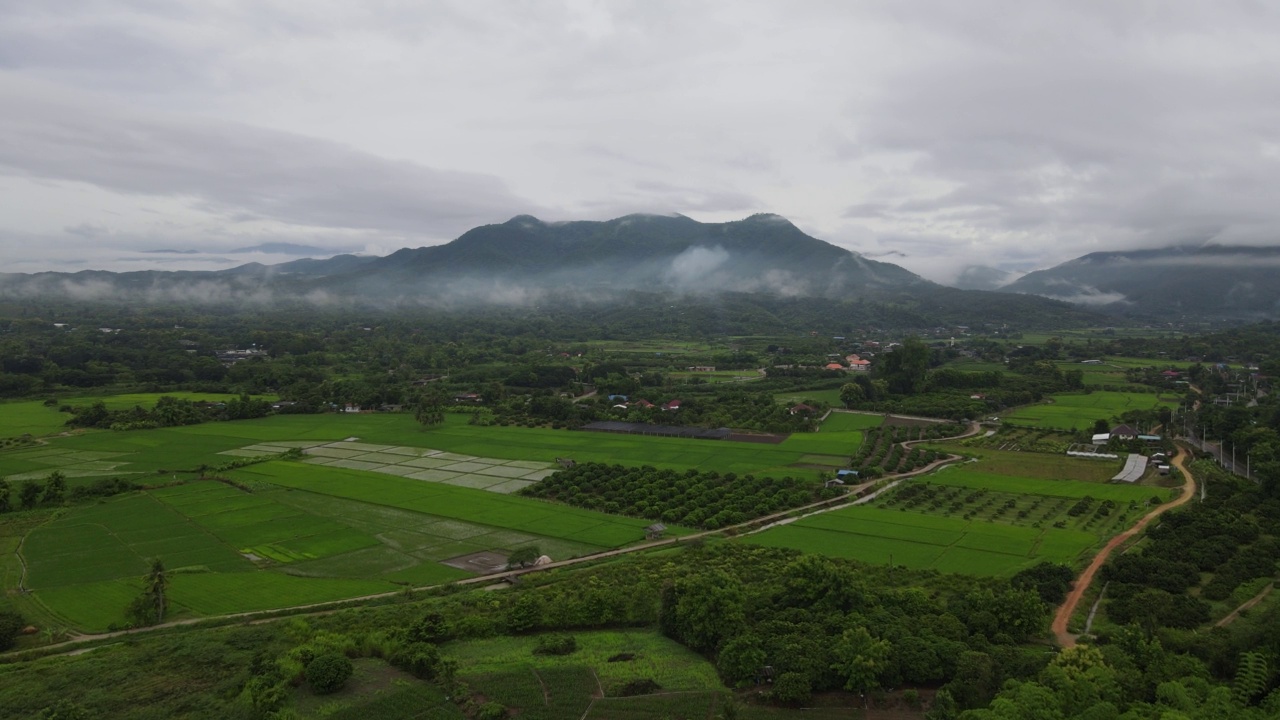 无人机雨雾山农场泰国视频素材