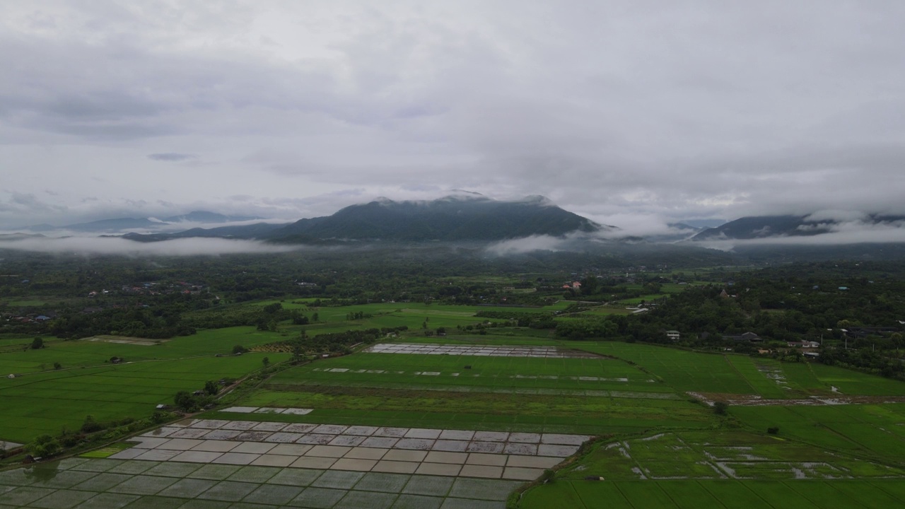 无人机雨雾山农场泰国视频素材