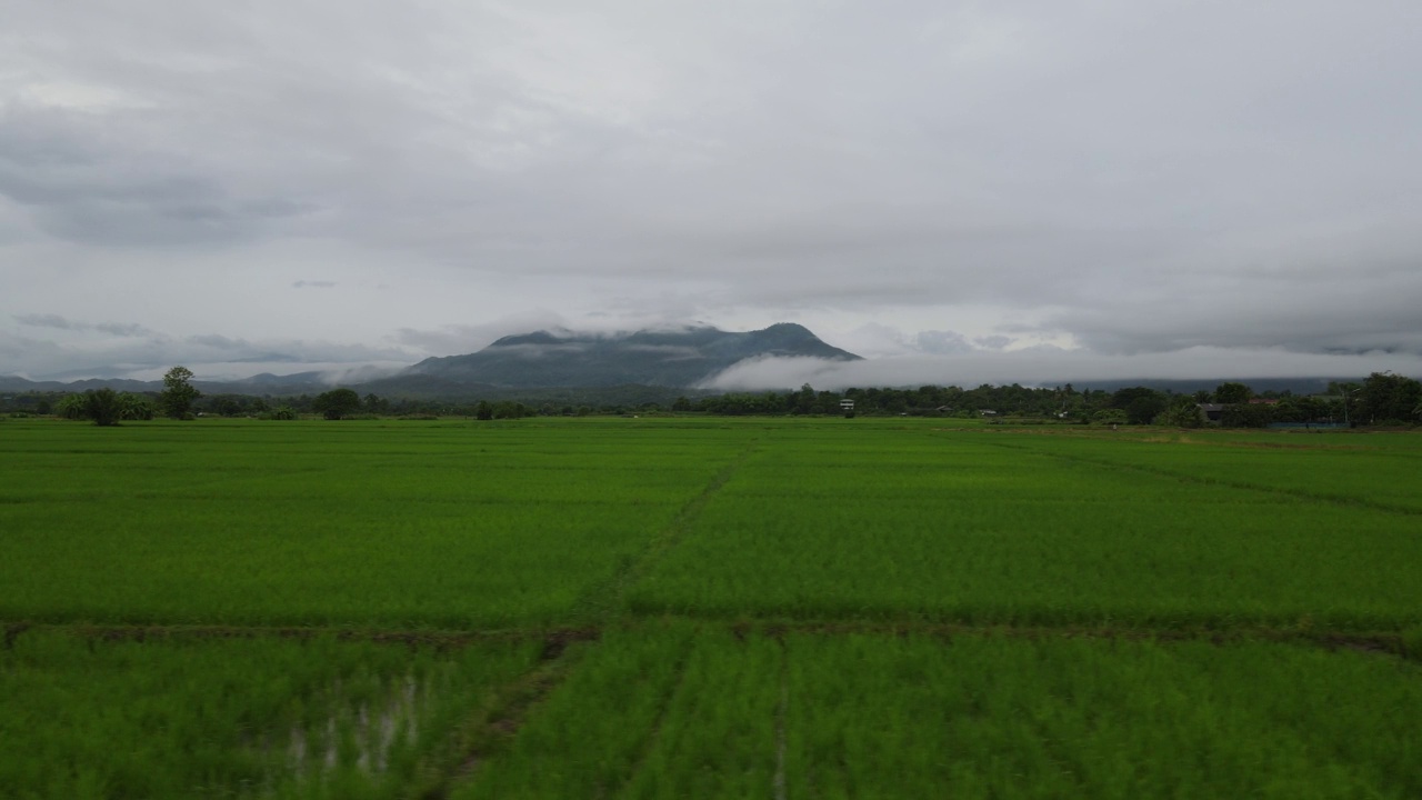 无人机雨雾山农场泰国视频素材