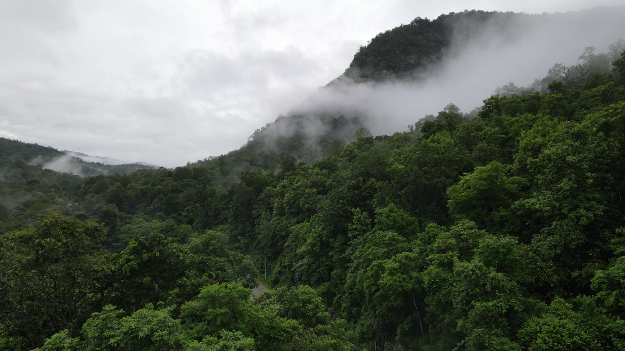 无人机雨雾山道泰国视频素材