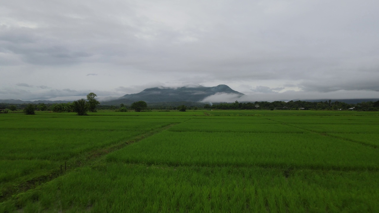 无人机雨雾山农场泰国视频素材