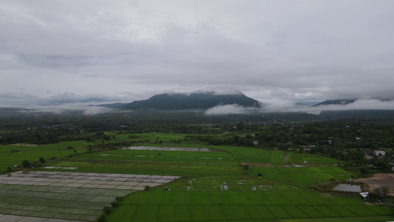 无人机雨雾山农场泰国视频素材