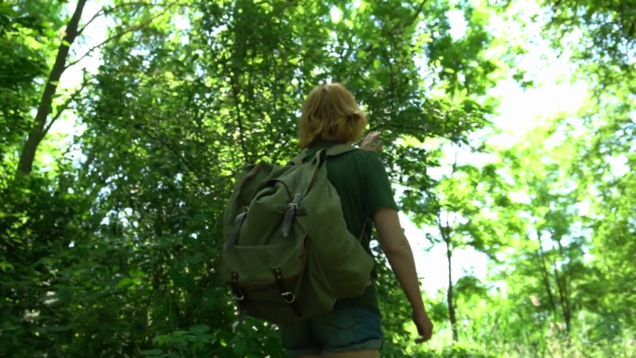 独自旅行的女人在夏天的森林徒步旅行。女性旅行者探索森林视频素材