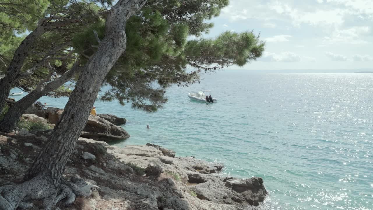 在阳光明媚的日子，有松树和抛锚的船的海岸。视频素材