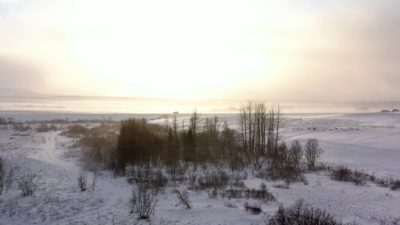 暴风雪后的美丽风景视频素材