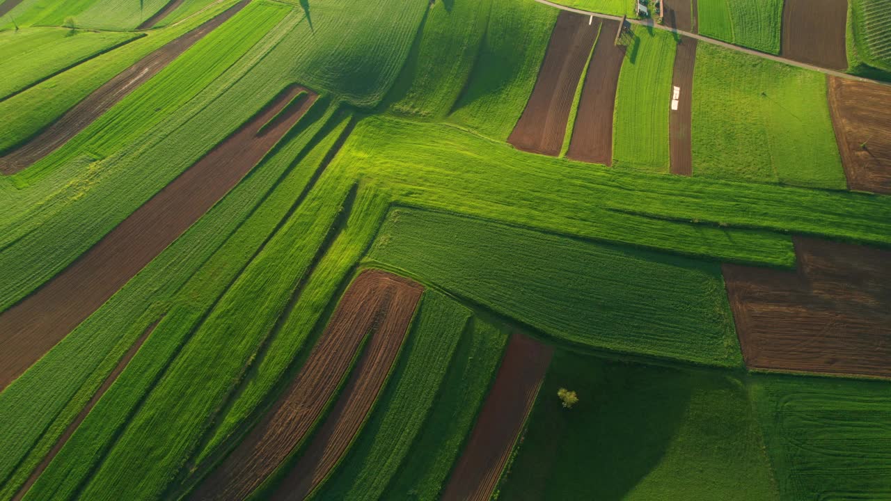 高空俯视:飞越有图案的郁郁葱葱的草地和犁过的农田视频素材