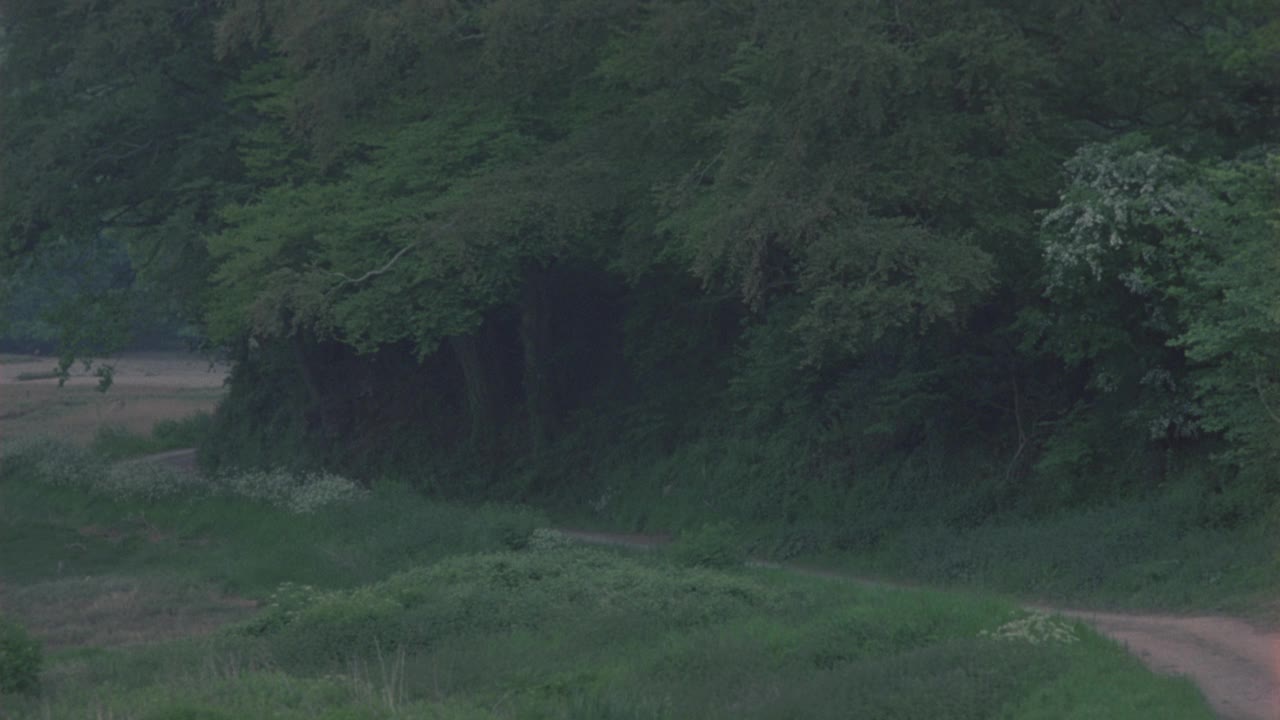 乡村公路或土路的中等角度。在前景看到绿色的草地和山丘。在前景看到多棵绿叶树。山。山坡上视频素材