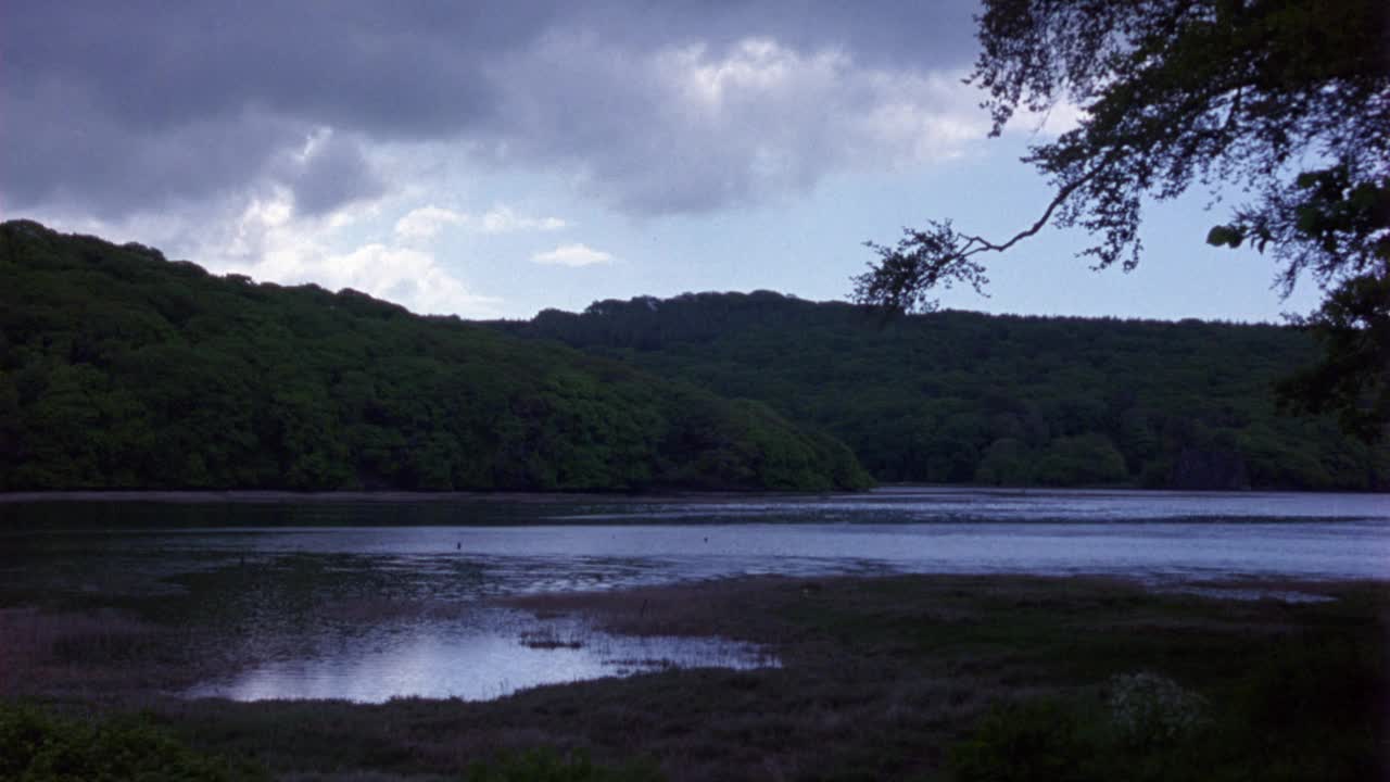 中等角度的湖泊在山坡或乡村。前景中可以看到绿色的山丘、多叶的树木和干燥的杂草。看天上的乌云。青海省农村视频素材