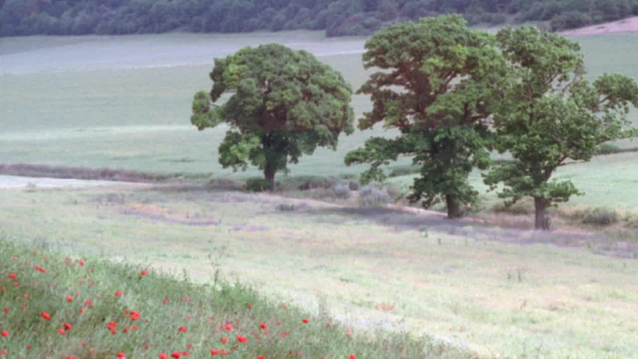 马车穿过绿色草地的广角。土路或小路旁三棵树。四匹马。车夫和马车后面的两个人穿着制服。马车从右向左行进视频素材