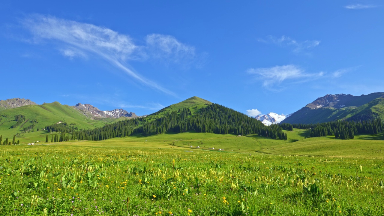 新疆的绿色草原和山地景观视频素材