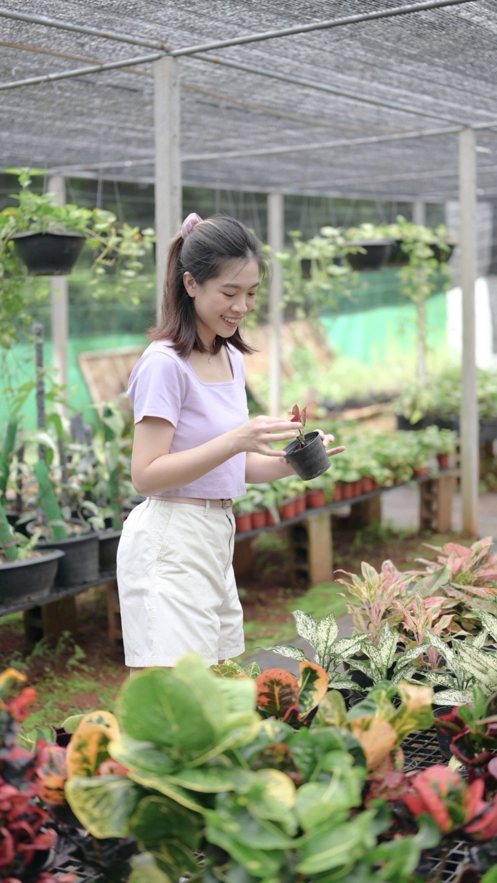 年轻的亚洲林业客户选择和购买植物从花园中心温室视频素材