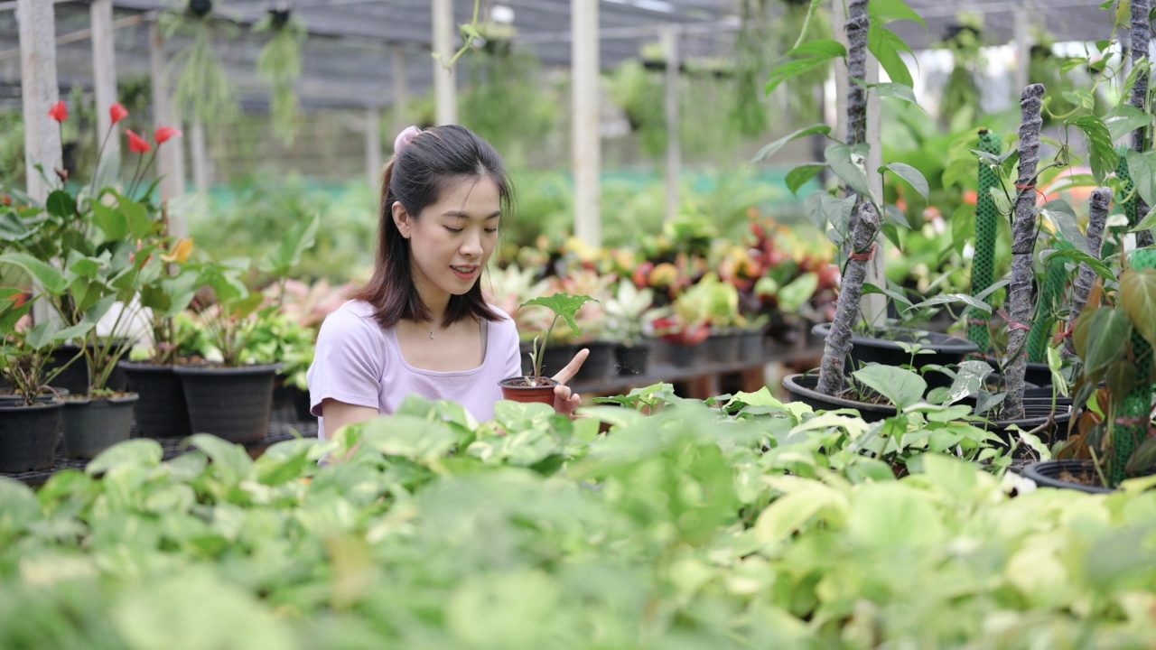 年轻的亚洲林业客户选择和购买植物从花园中心温室视频素材