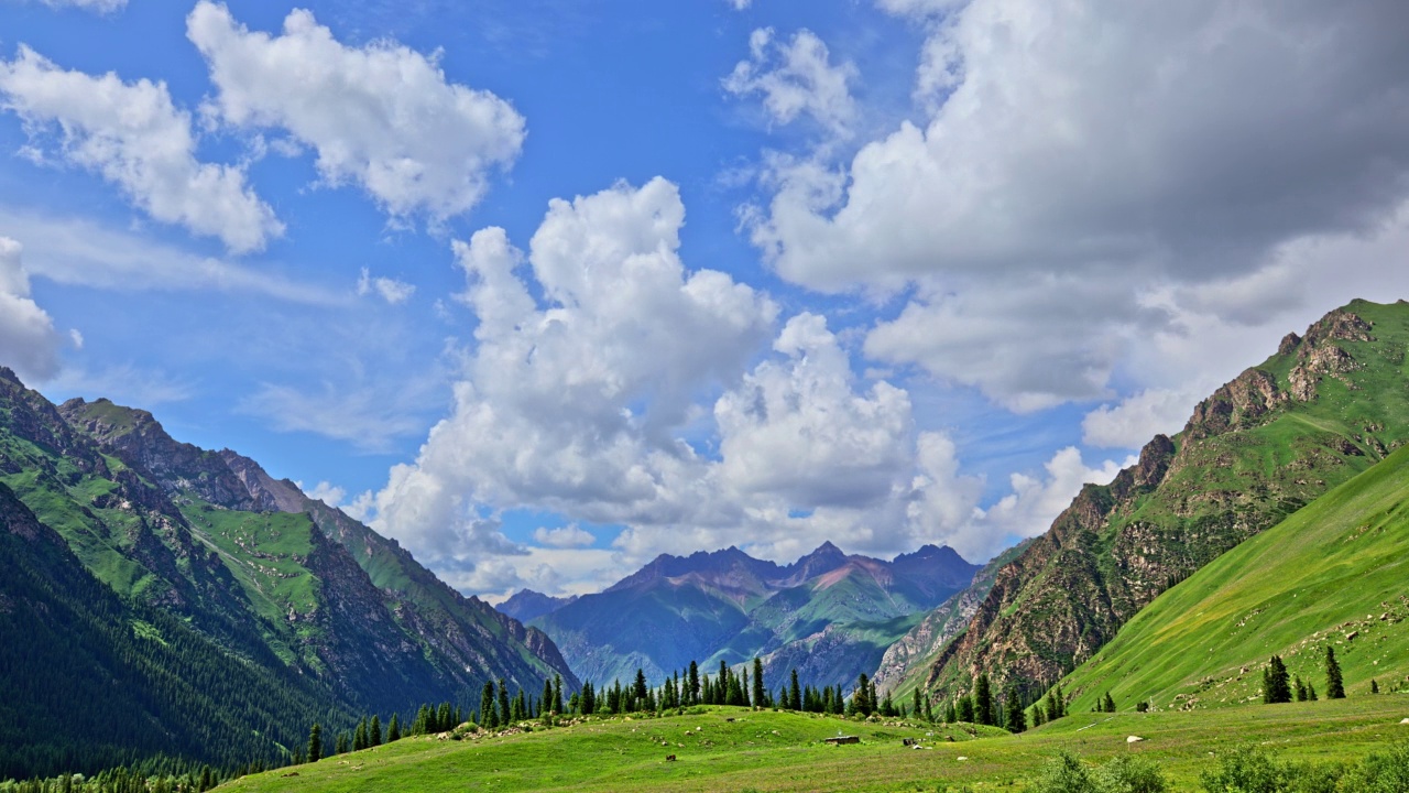 新疆的绿色草原和山地景观视频素材