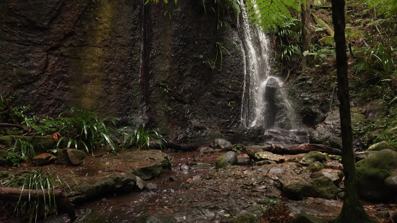 澳大利亚热带雨林的原始瀑布视频素材