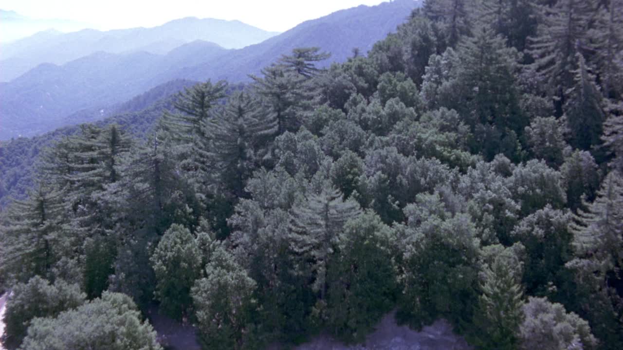 长满常青树的山腰。看到蜿蜒的道路沿着山的一侧运行。看到棕褐色的凯迪拉克在路上行驶视频素材