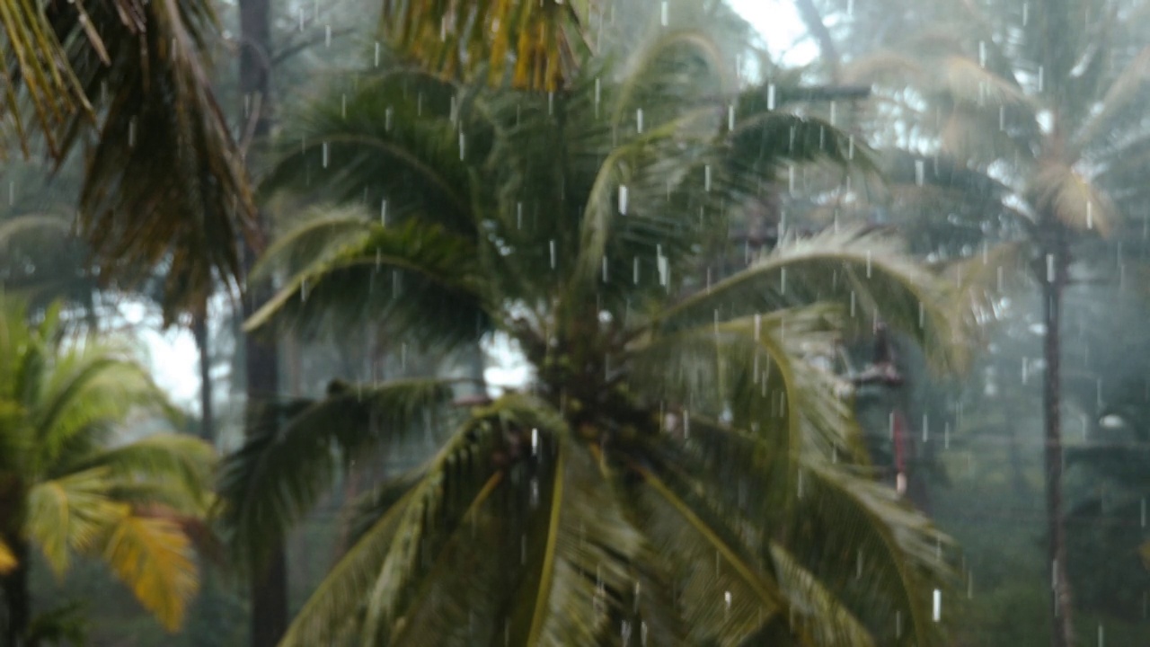 泰国雨季热带岛屿上的多风雨天。糟糕的天气，毁了一个又一个假期。雨滴落下来，背景是热带树木视频素材