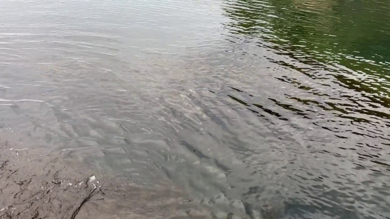 波光粼粼的海水在水面荡漾。视频素材