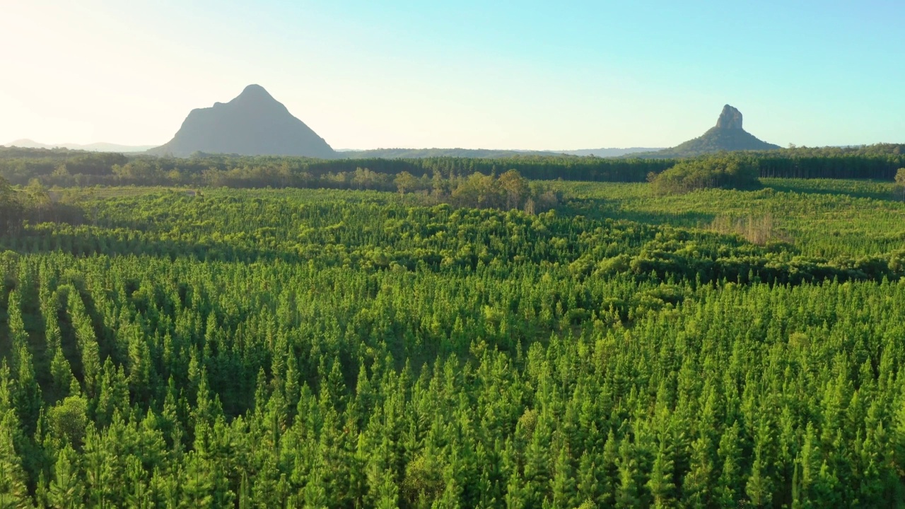 阳光海岸腹地玻璃屋山脉的鸟瞰图。视频素材