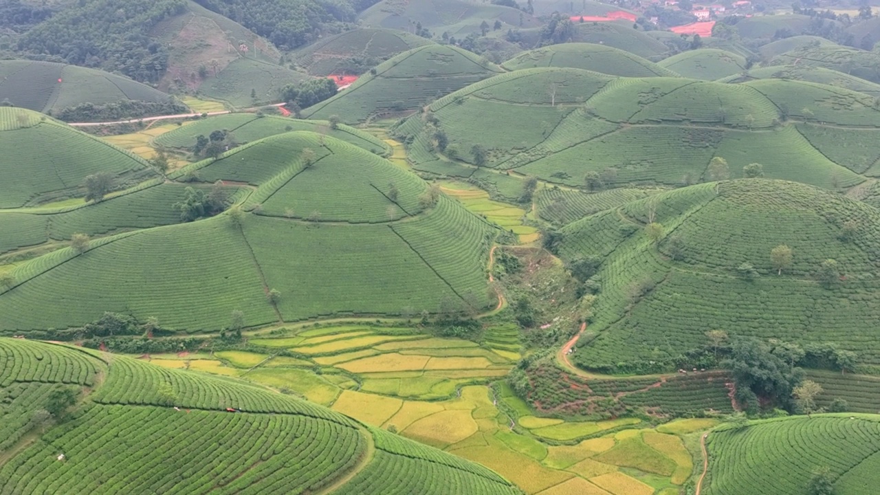 在越南北部的富寿省龙寇克(Long Coc)，在山上的茶园梯田上飞行的无人机镜头视频素材