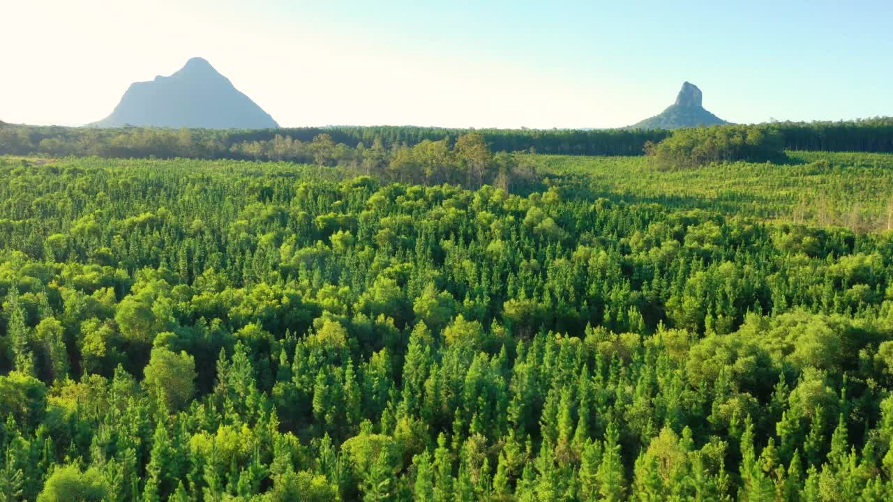 阳光海岸腹地玻璃屋山脉的鸟瞰图。视频素材