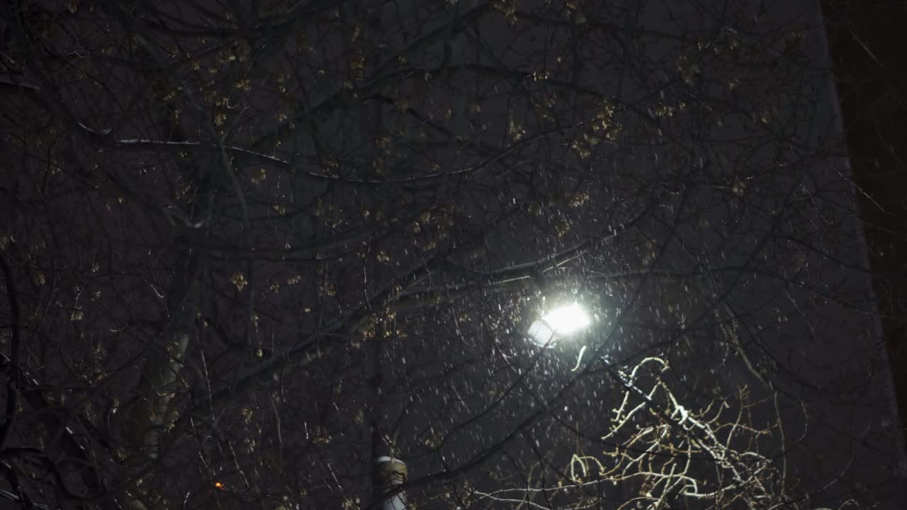 大雪纷飞的城市，雪花在夜晚映衬着一盏灯笼。视频素材