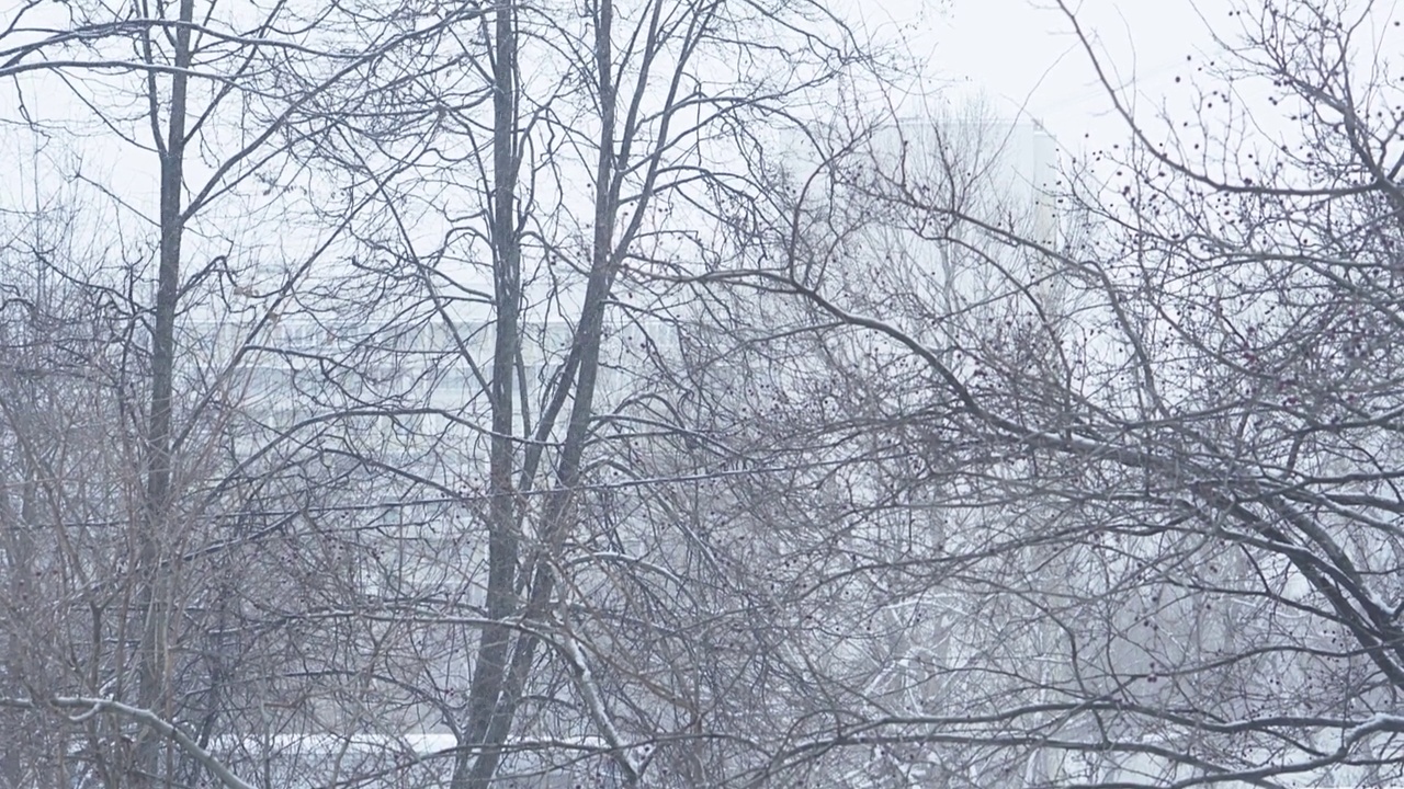 窗外暴风雪，下雪。视频素材