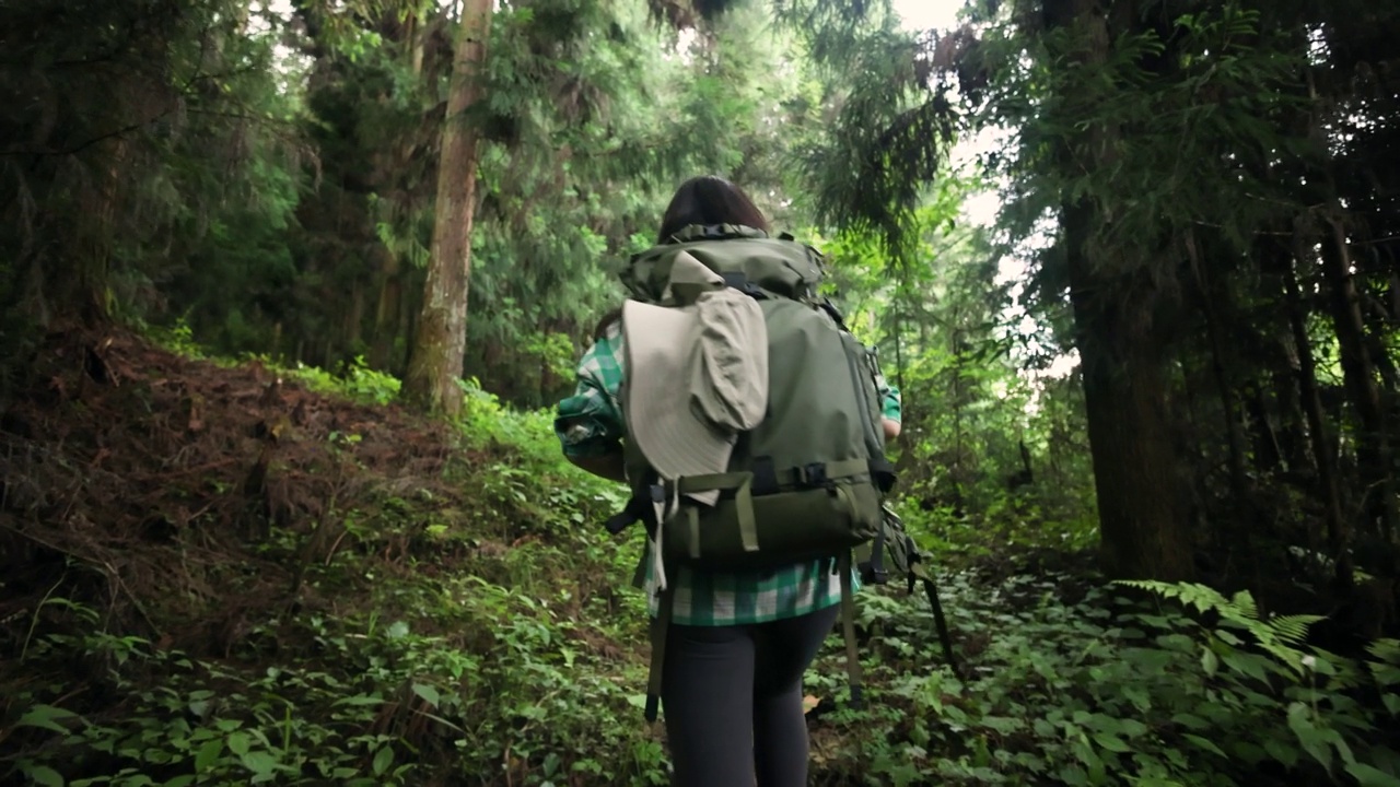 森林徒步旅行的女人视频素材