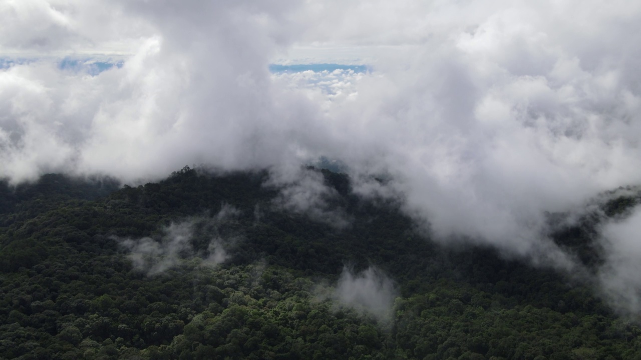 山间云雾空中无人机泰国Doi Suthep视频素材