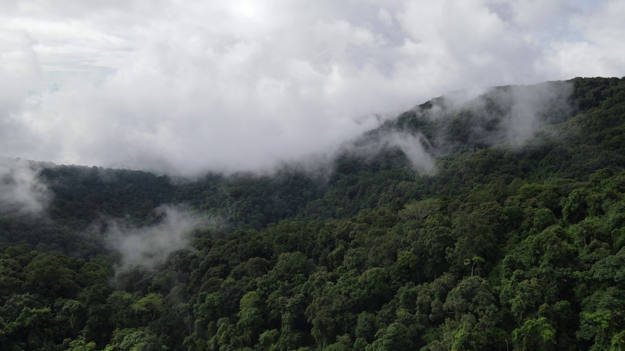 山间云雾空中无人机泰国Doi Suthep视频素材