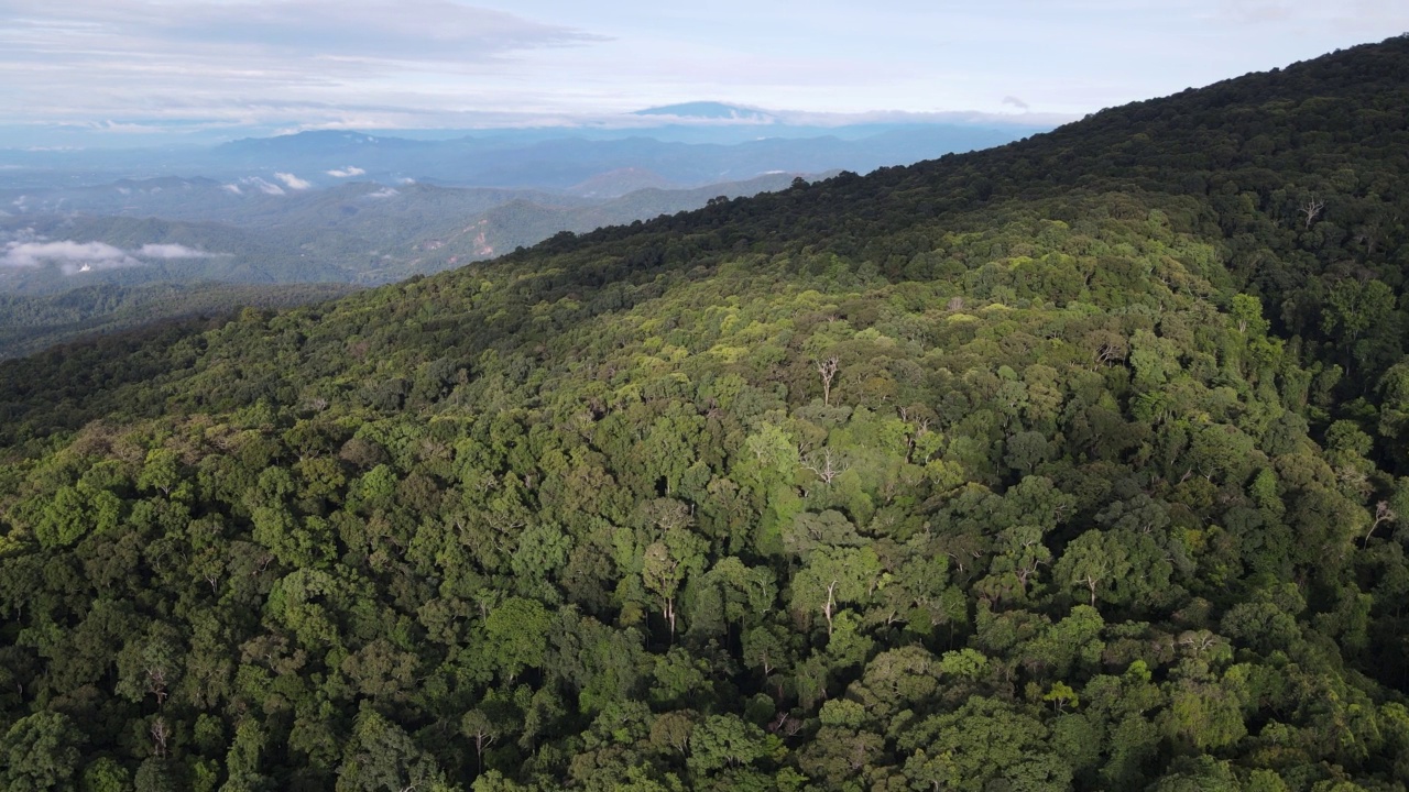 山间云雾空中无人机泰国Doi Suthep视频素材