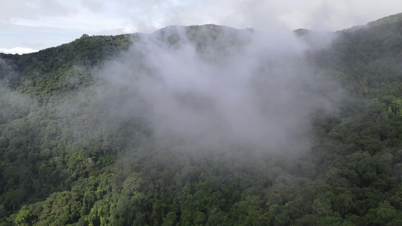 山间云雾空中无人机泰国Doi Suthep视频素材