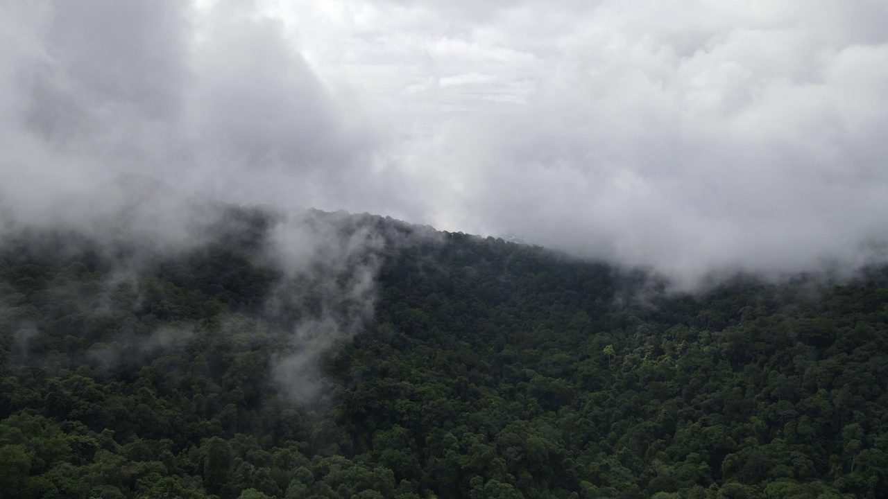 山间云雾空中无人机泰国Doi Suthep视频素材